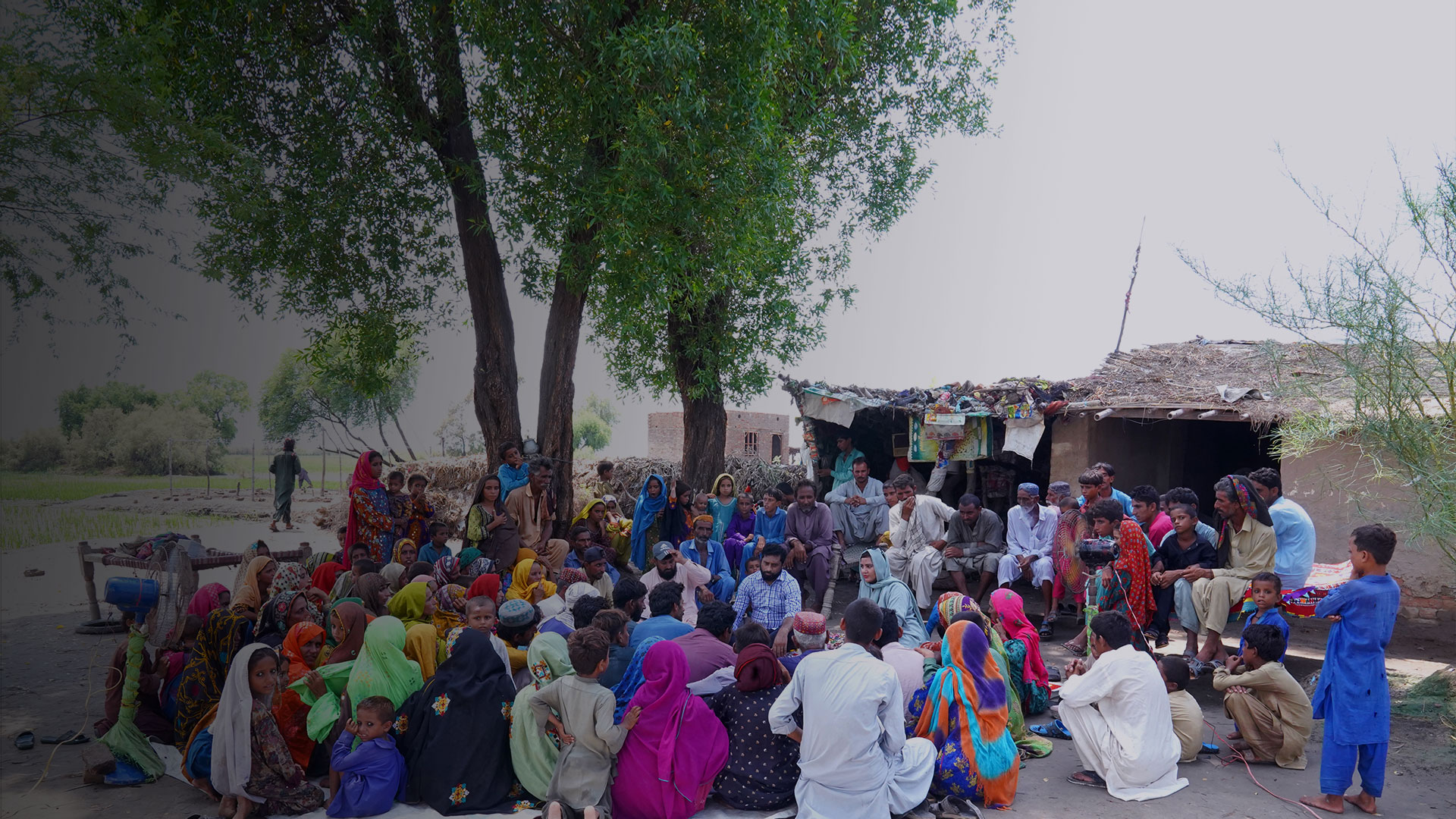 Social Capital Development