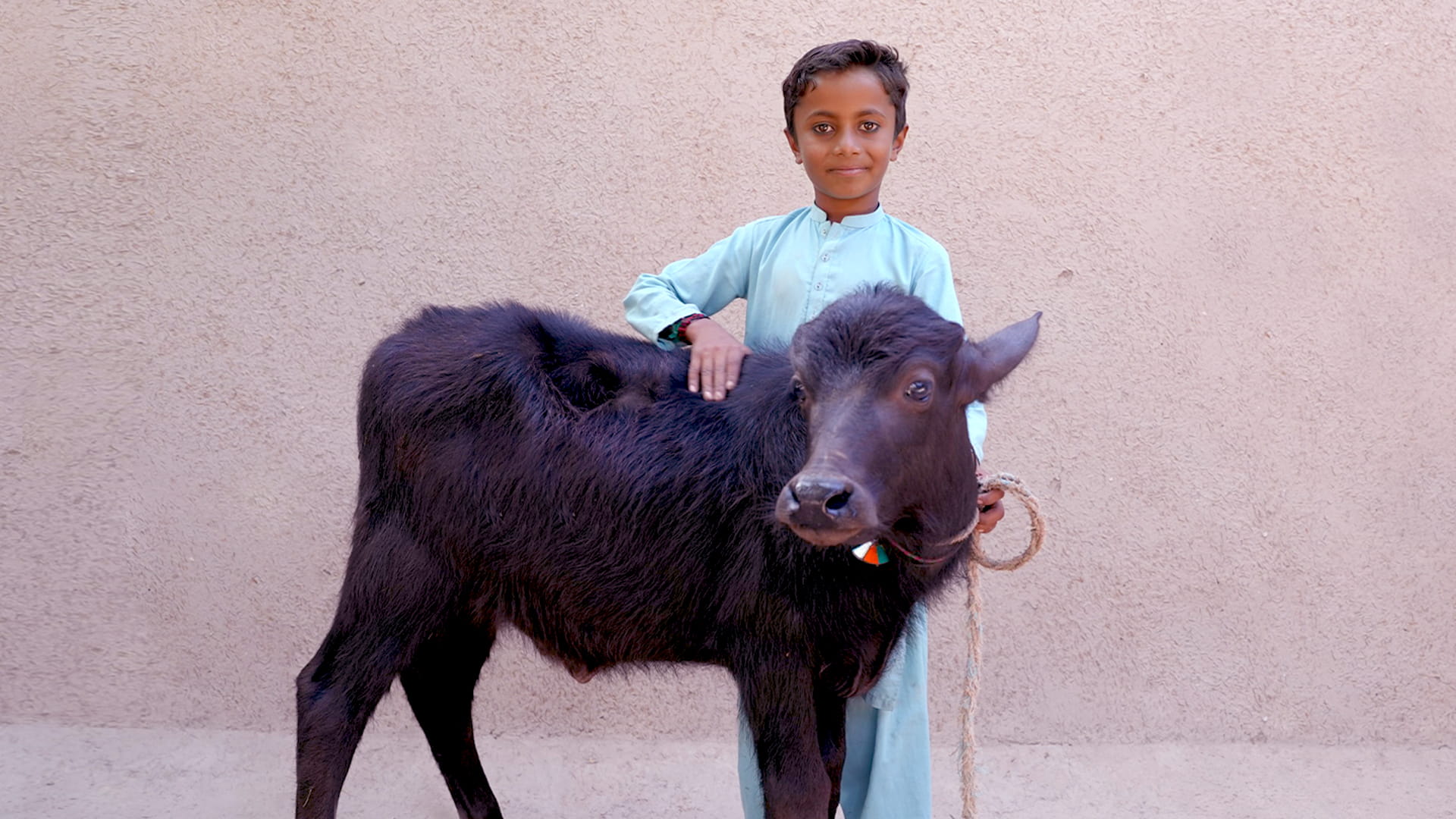 Education through Livestock